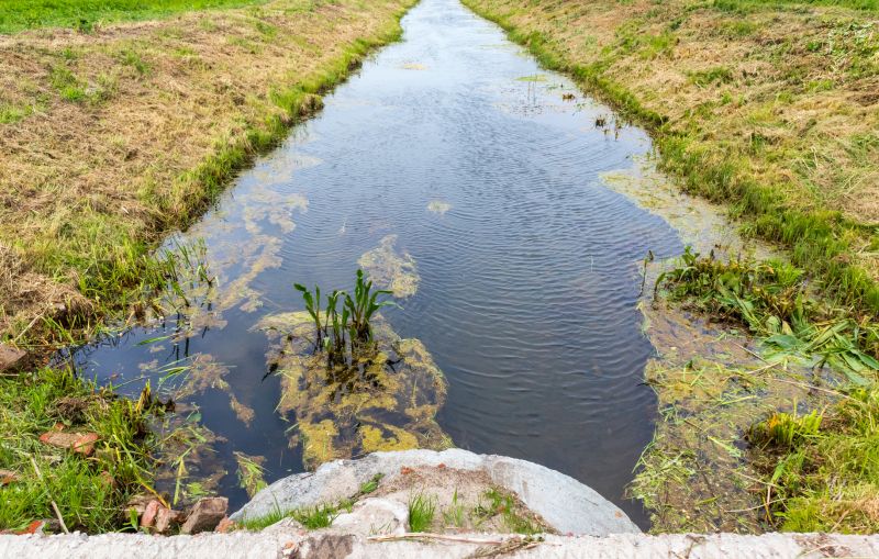 Drain Field Repair